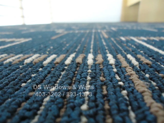 Blue Carpet With Design