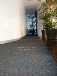 hallway carpet