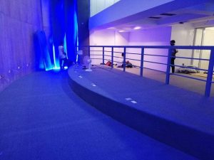 Carpet Floor Walls for Conventions