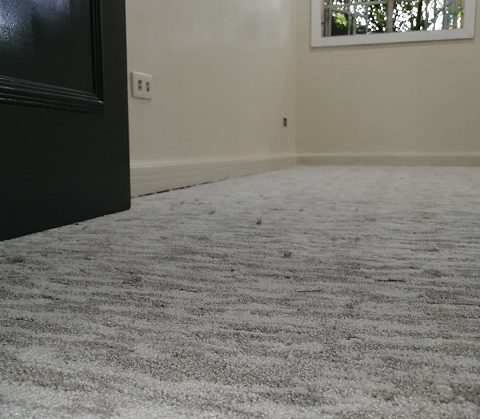 gray-carpet-with-design-1
