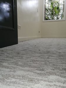 Gray carpet with design