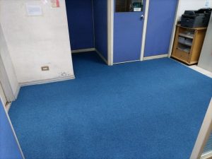 Blue carpet office