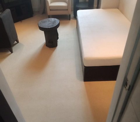 Living room carpet