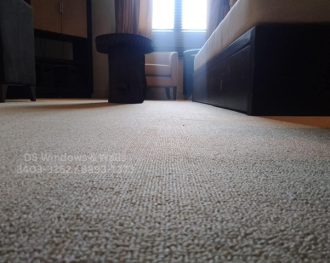 Maximizing small spaces: Carpet solutions for condominium living